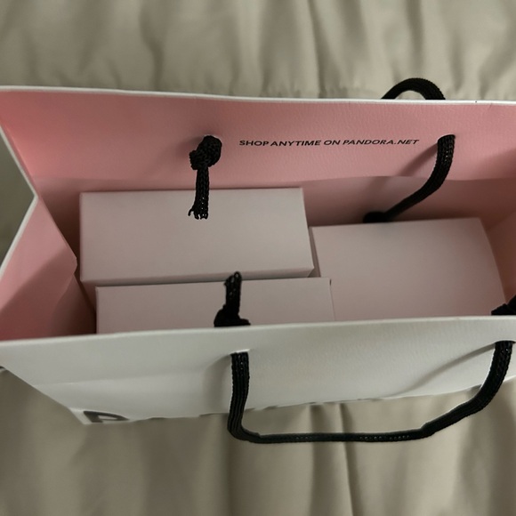 Pandora gift bags and bracelet boxes jewelry cleaner set - Picture 7 of 9